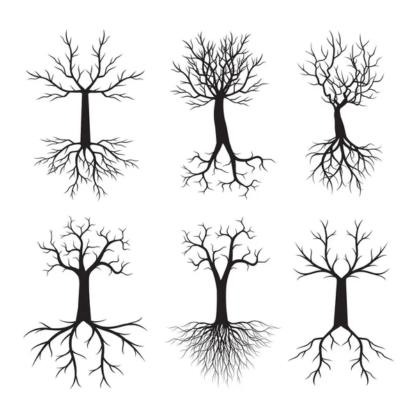 Set Black Trees Vector Outline Illustration — Stockvektor