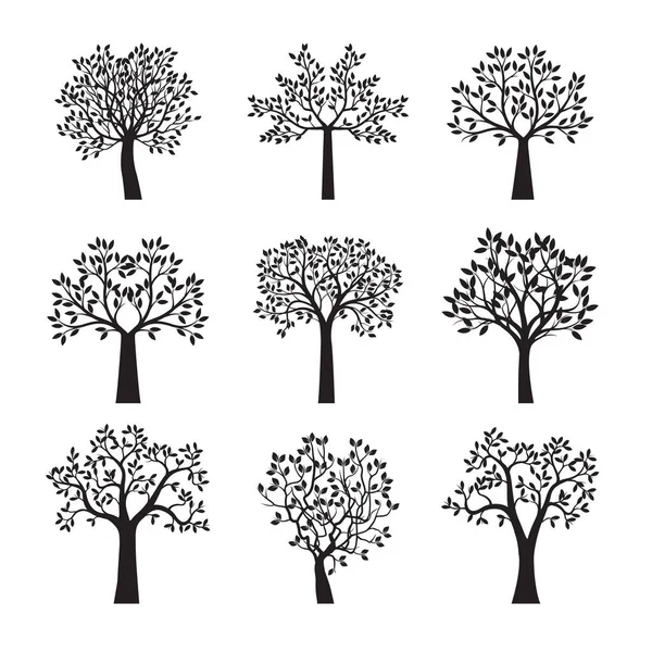 Set Von Schwarzen Bäumen Vektorskizze Illustration — Stockvektor