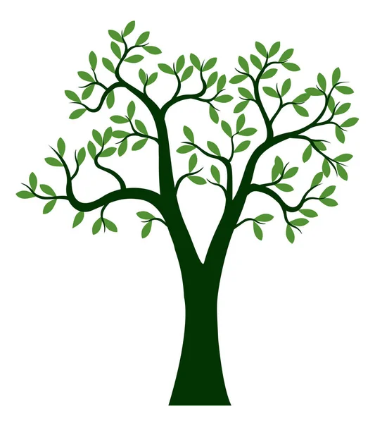 Forma Árbol Con Hojas Raíces Esquema Vectorial Ilustración Planta Jardín — Vector de stock