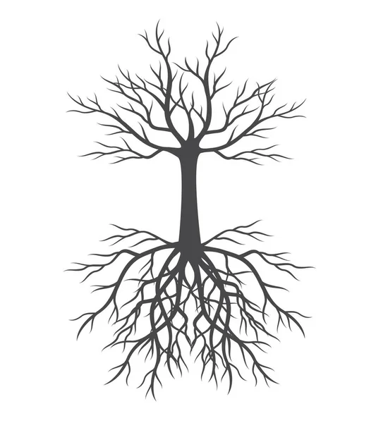 Shape Spring Tree Leaves Roots Vector Outline Illustration Plant Garden — Vector de stock