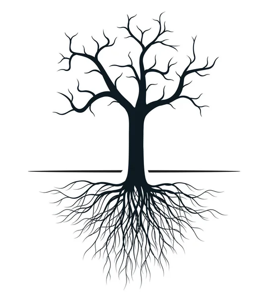 Black Appletree Roots Vector Outline Illustration Plant Garden — стоковый вектор