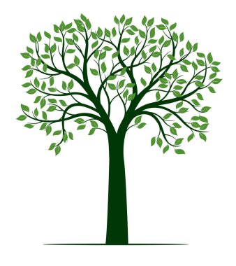 Shape of green Tree with Roots. Vector outline Illustration. Plant in Garden.