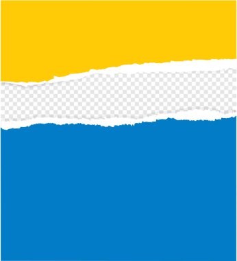 The design of a color piece of paper. Vector template and background. Ripped of. Torn out.