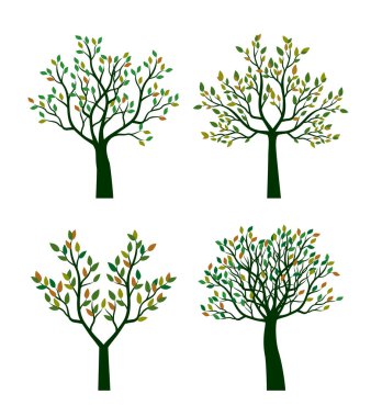 Collection of Tree with colour leaves. Vector outline Illustration. Plant in Garden.