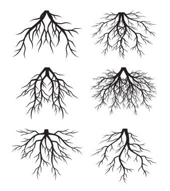 Collection of Tree Roots. Vector outline Illustration. Plant in Garden.