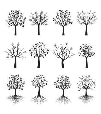 Collection of Trees. Vector outline Illustration. Plant in Garden.