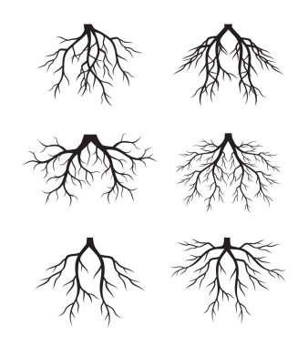 Collection of Tree Roots. Vector outline Illustration. Plant in Garden.