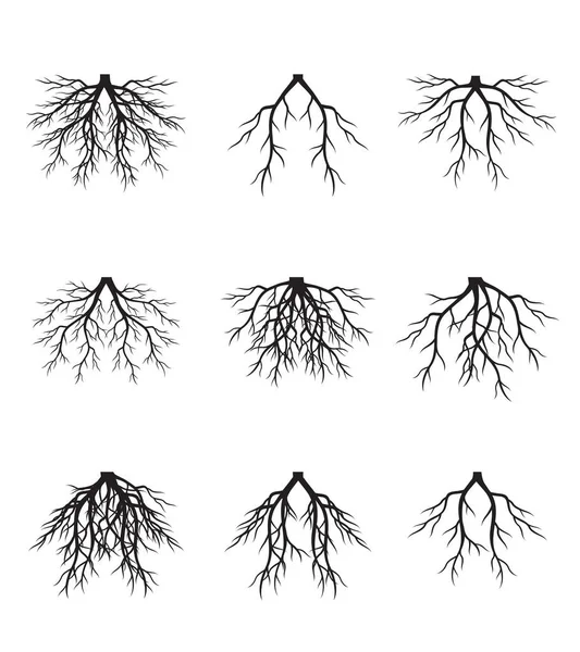 Collection Trees Vector Outline Illustration Plant Garden — Vetor de Stock
