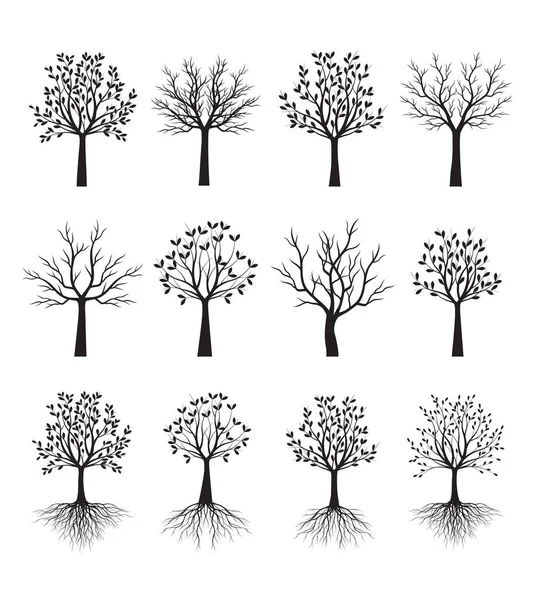 Ağaçlar Koleksiyonu Vektör Taslağı Çizimi Bahçede Bitki — Stok Vektör
