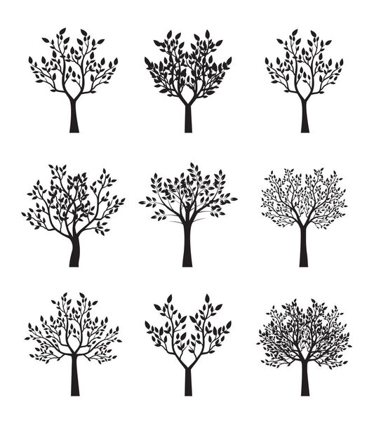 Collection of Tree with  leaves. Vector outline Illustration. Plant in Garden.