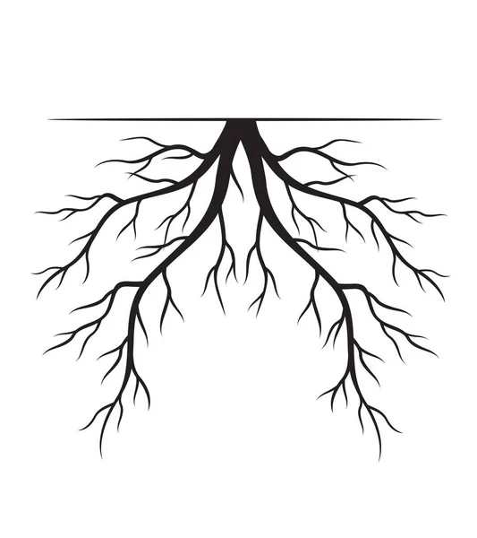 Forma Árvore Esboço Vetorial Ilustração Planta Jardim — Vetor de Stock