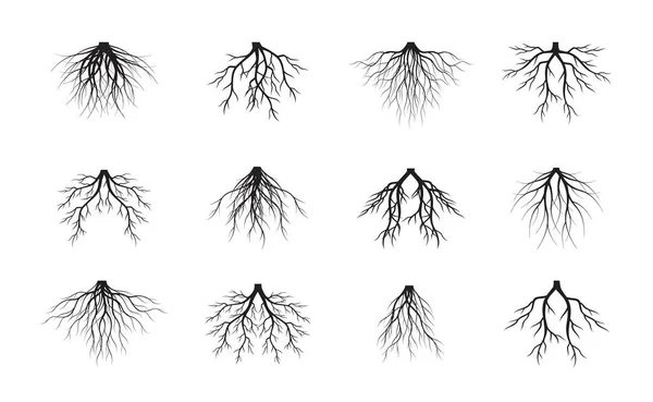 白色背景上的一组黑色树根 病媒说明 园中的植物 — 图库矢量图片