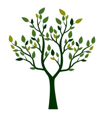 Shape of Tree with colour leaves. Vector outline Illustration. Plant in Garden.