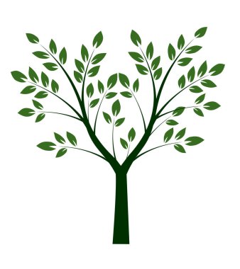 Yaprakları ve kökleri olan ağaç şekli. Vektör taslağı çizimi. Bahçede Bitki.