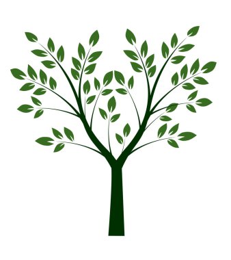 Yaprakları ve kökleri olan ağaç şekli. Vektör taslağı çizimi. Bahçede Bitki.