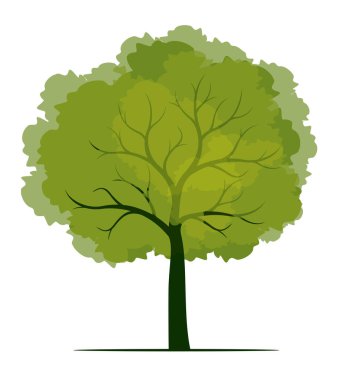 Shape of green Tree with leaves. Vector outline Illustration. Plant in Garden.