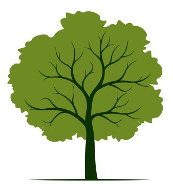 Yapraklı yeşil ağaç şekli. Vektör taslağı çizimi. Bahçede Bitki.