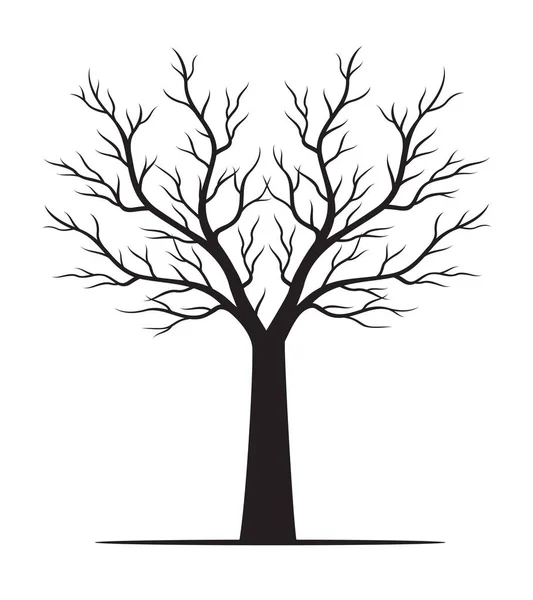 Forma Árvore Esboço Vetorial Ilustração Planta Jardim — Vetor de Stock