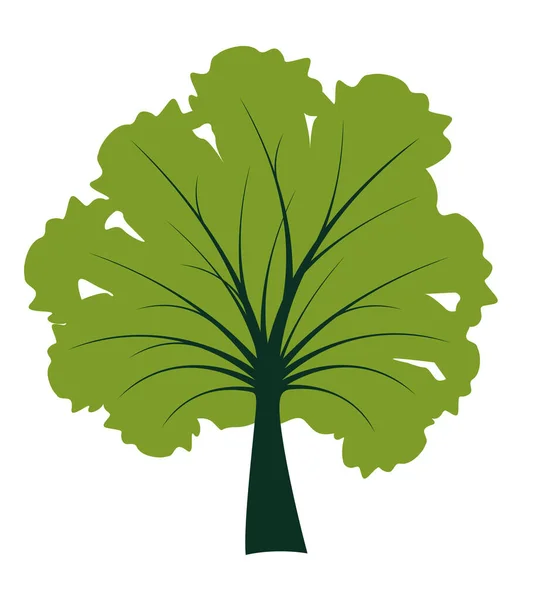 Shape Green Tree Leaves Vector Outline Illustration Plant Garden — Image vectorielle