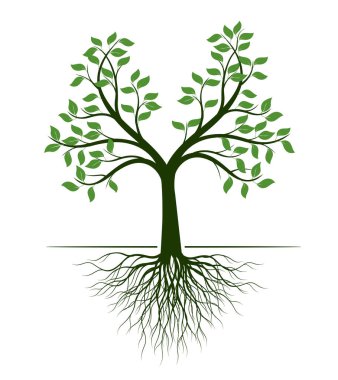 Shape of green Tree with Roots. Vector outline Illustration. Plant in Garden.