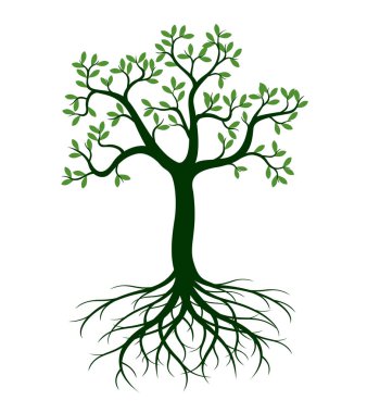 Shape of green Tree with Roots. Vector outline Illustration. Plant in Garden.