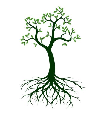 Shape of green Tree with Roots. Vector outline Illustration. Plant in Garden.
