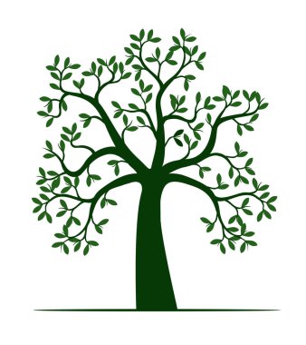 Yaprakları ve kökleri olan ağaç şekli. Vektör taslağı çizimi. Bahçede Bitki.