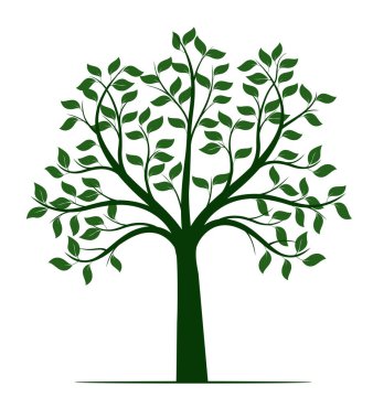 Yaprakları ve kökleri olan ağaç şekli. Vektör taslağı çizimi. Bahçede Bitki.