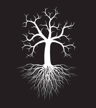 Shape of white Tree with Roots. Vector outline Illustration. Plant in Garden.