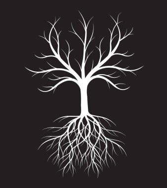 Shape of white Tree with Roots. Vector outline Illustration. Plant in Garden.
