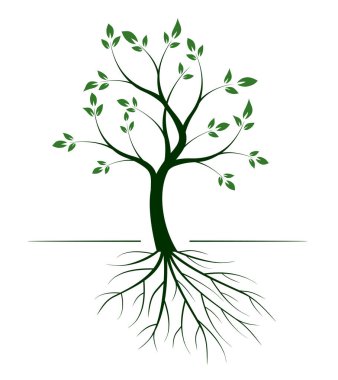 Yaprakları ve kökleri olan ağaç şekli. Vektör taslağı çizimi. Bahçede Bitki.