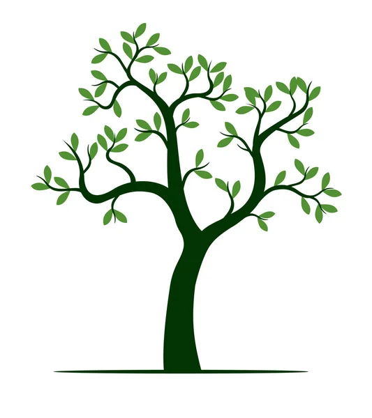 Forme Arbre Vert Schéma Vectoriel Illustration Plante Dans Jardin — Image vectorielle