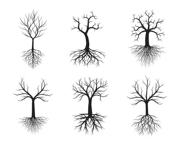 Набор Деревьев Листьями Корнями Векторный Контур Иллюстрации Посадить Саду — стоковый вектор