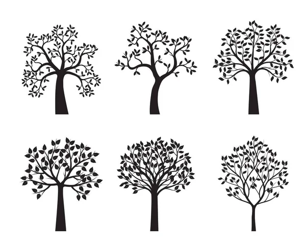 Set Trees Leaves Vector Illustration Collection Icons — Stockvektor