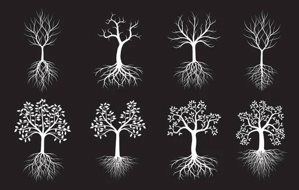 Ein Satz Bäume Mit Blättern Und Wurzeln Vektorskizze Illustration Pflanze — Stockvektor