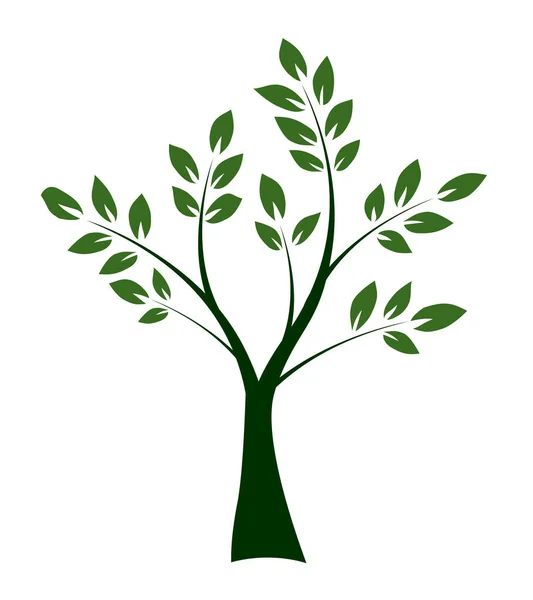 Tvar Stromu Listy Kořeny Vektorový Přehled Ilustrace Rostlina Zahradě — Stockový vektor