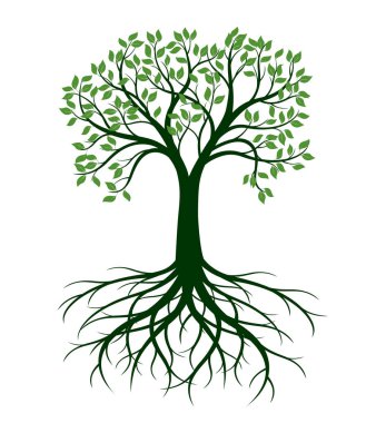 Shape of green Tree with Roots. Vector outline Illustration. Plant in Garden.