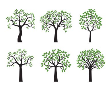 Set Trees and Leaves. Vector Illustration. Collection of icons.