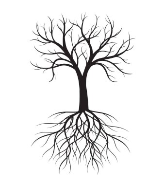 Shape of Tree with Roots. Vector outline Illustration. Plant in Garden.