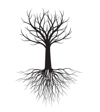 Shape of Tree with Roots. Vector outline Illustration. Plant in Garden.
