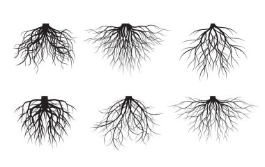 Set of white Tree Roots on black background. Vector Illustration. Plant in Garden.