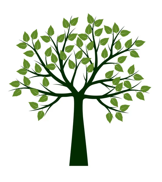 Yaprakları ve kökleri olan ağaç şekli. Vektör taslağı çizimi. Bahçede Bitki.