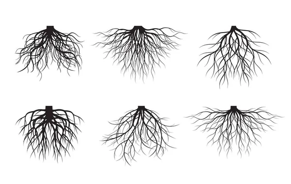 Set Weißer Baumwurzeln Auf Schwarzem Hintergrund Vektorillustration Pflanze Garten — Stockvektor