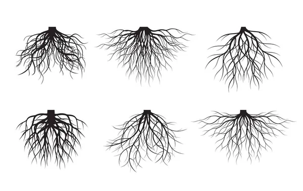 Set Raíces Árbol Blancas Sobre Fondo Negro Ilustración Vectorial Planta — Vector de stock