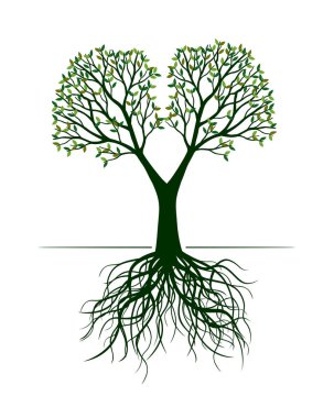 Green Tree. Vector outline Illustration. Plant with Roots in Garden.