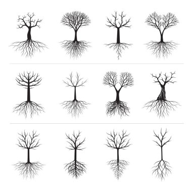 Set of Trees with Roots. Vector Illustration. Collection of icons.