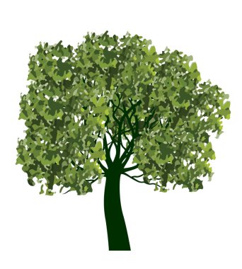 Yeşil Ağaç. Vektör taslağı çizimi. Bahçede Bitki.