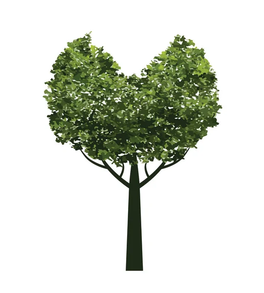 Arbre Vert Schéma Vectoriel Illustration Plante Dans Jardin — Image vectorielle