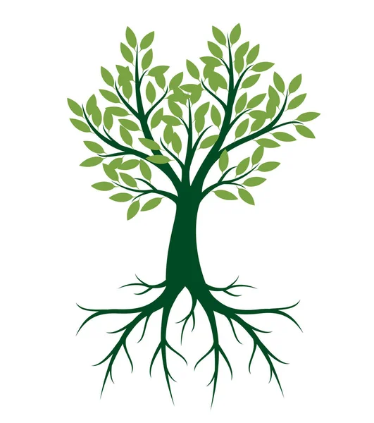 Zelený Strom Kořeny Obrázek Vektorové Osnovy — Stockový vektor