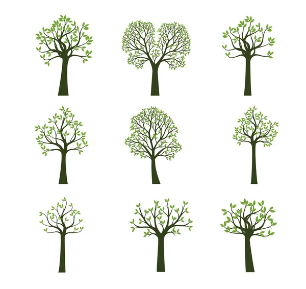 Установить Зеленые Деревья Векторная Иллюстрация — стоковый вектор